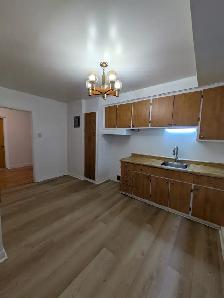 BEAU 4½ À LOUER DANS ROSEMONT -DISPONIBLE en demi sous-sol