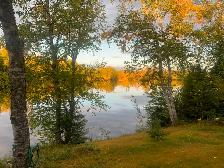 House and Cottage at Nellie Lake $549,900 - Photo 5