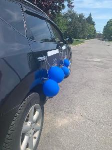 Bubble Ball Ottawa - for sale! - Photo 8