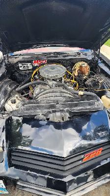 1980 Camaro Z28 - Photo 3