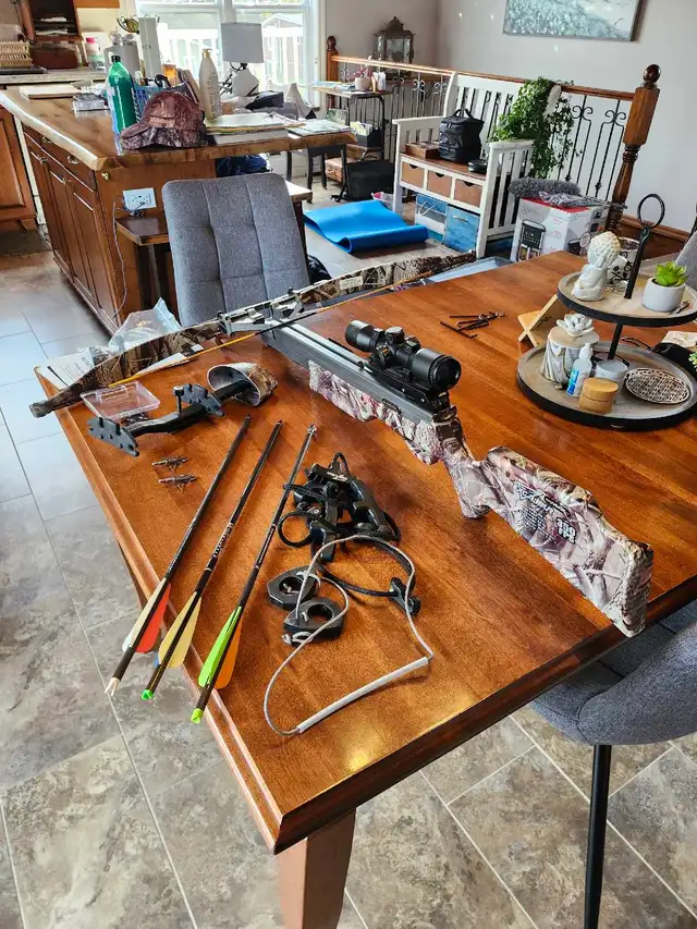 arbalete de chasse  excalibure avec pointe 350 ps