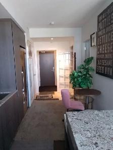 LUXURY 1-BED DEN - Photo 3