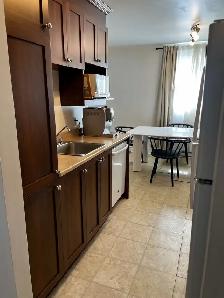 BEAUX GRAND 4½ A LOUER, STYLE CONDO ET RÉNOVER - Photo 2