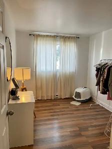 BEAUX GRAND 4½ A LOUER, STYLE CONDO ET RÉNOVER - Photo 5