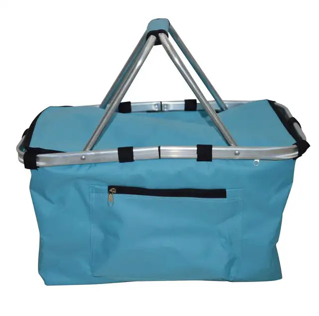 INSULATED BAG/PICNIC BASKET - $10