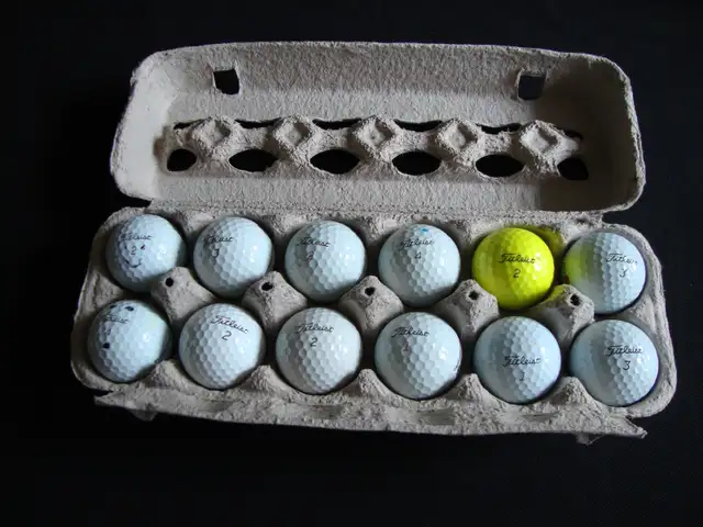 Titleist Pro V1 Golf Balls $15