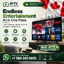 TOP QUALITY IPT\/!