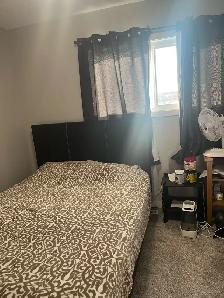 Furnished room for rent Whitecourt
