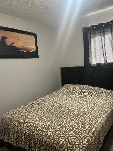 Furnished room for rent Whitecourt - Photo 2