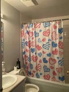 Step 2min to Fanshawe, Master bedroom room available Sep..$695 - Photo 4