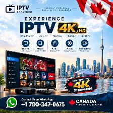 PREMIUM IPT\/ SIMPLY!