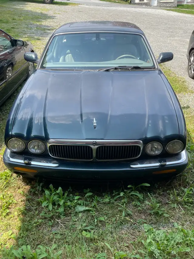 Jaguar XJ8 4P 2001 vert