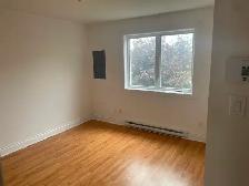 logement à louer Chateauguay et saint-constant - Photo 7
