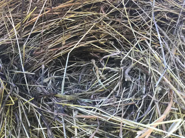 Hay, Naturally grown