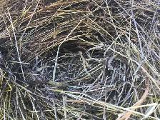 Hay, Naturally grown