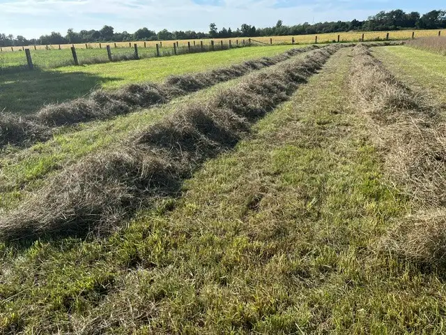 2026 Mixed Grass Hay - small square bales