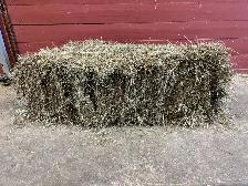 2026 Mixed Grass Hay - small square bales - Photo 3