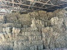 2026 Mixed Grass Hay - small square bales - Photo 4