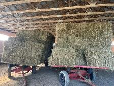2026 Mixed Grass Hay - small square bales - Photo 5
