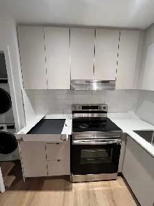 IMMEDIAT AVAIL 3 1/2 metro SnowdonHOT WARER & HEATING INCLUDED - Photo 9