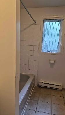 2 Large Bedroom in Aylmer /Gatineau (Marina) - Photo 6