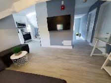 Executive Apartment In the Heart of Downtown Brampton - Photo 7