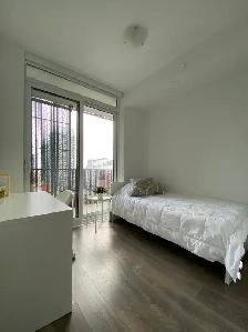 Yonge-Eglinton Fully Furnished Condo for Rent - Photo 12