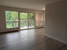 Attractive 2 Bedroom - Photo 2