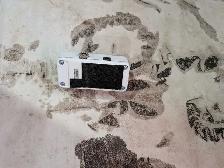 TC Electronic Spark Mini - Photo 2