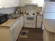 1 BEDROOM   DEN FURNISHED GROUND FLOOR CANDO SHORT/L RENT AT SQ1 - Photo 8
