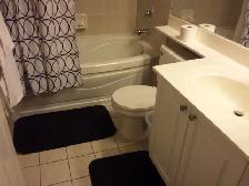 1 BEDROOM   DEN FURNISHED GROUND FLOOR CANDO SHORT/L RENT AT SQ1 - Photo 13