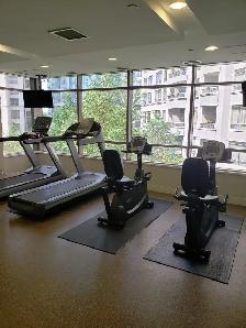 1 BEDROOM   DEN FURNISHED GROUND FLOOR CANDO SHORT/L RENT AT SQ1 - Photo 16