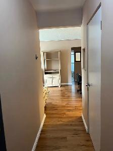 1 Bedroom 1 Bath Apartment Macewan area