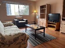 1 Bedroom 1 Bath Apartment Macewan area - Photo 3