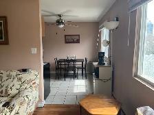 1 Bedroom 1 Bath Apartment Macewan area - Photo 6