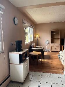 1 Bedroom 1 Bath Apartment Macewan area - Photo 9