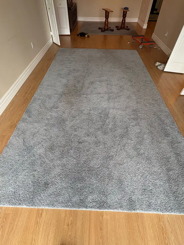Free delivery used Grey Shag Area Rug