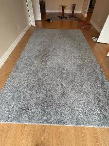 Free delivery used Grey Shag Area Rug