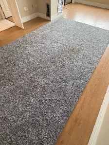 Free delivery used Grey Shag Area Rug - Photo 3