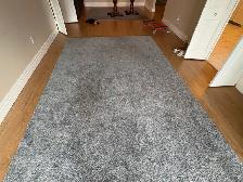 Free delivery used Grey Shag Area Rug - Photo 4