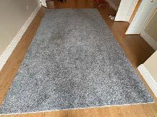 Free delivery used Grey Shag Area Rug - Photo 5