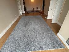 Free delivery used Grey Shag Area Rug - Photo 7