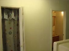 bachelor apt on bank St. for rent - Photo 5