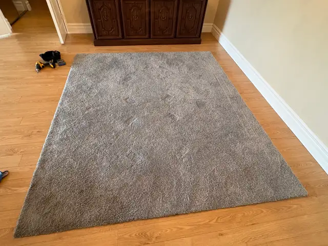 Free delivery used Grey Area Rug