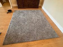 Free delivery used Grey Area Rug