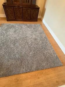 Free delivery used Grey Area Rug - Photo 2