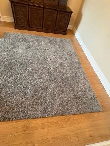 Free delivery used Grey Area Rug - Photo 6