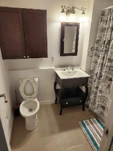 ELLIOT LAKE: upgraded 2 Bedroom downtown apt - all inclusive! - Photo 10