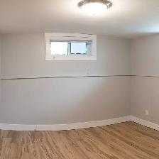 2 Bedroom Lower Unit for Rent - Quiet & Pet Friendly Household - Photo 7