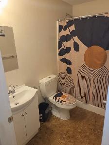One bedroom basement suite - Photo 5